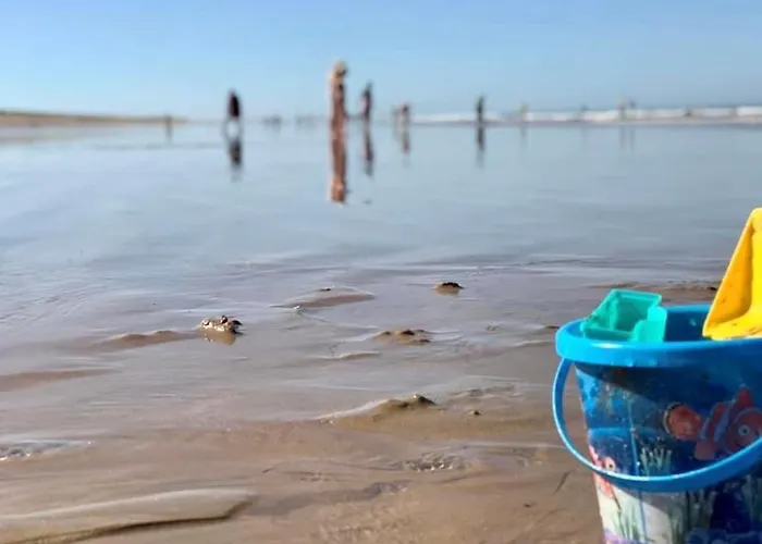 2 Pers. Renove Avec Balcon, Acces Et Centre-ville A Pied - Classe 2* - Fr-1-231-285 Brétignolles-sur-Mer